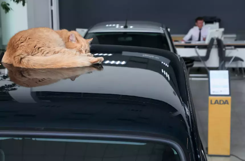 Названы 6 признаков продвинутого автодилера