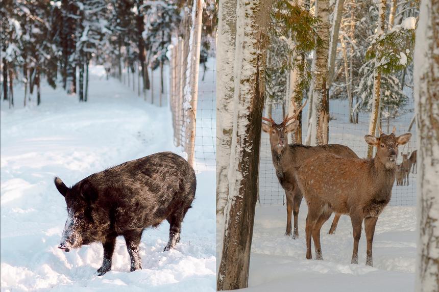 Маршрут выходного дня: Торопец