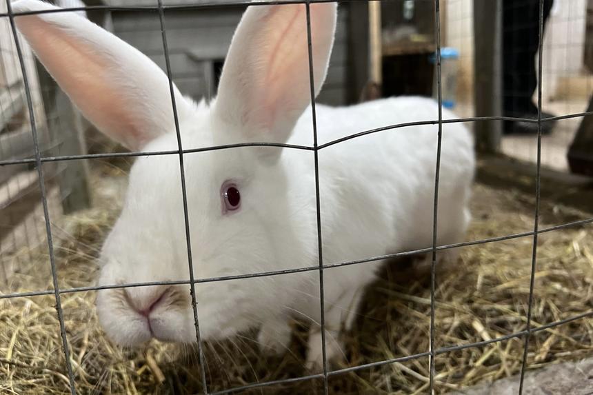 Маршрут выходного дня: Торопец